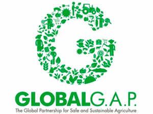 Global GAP