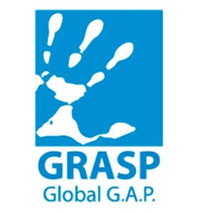 GRASP