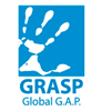 GRASP